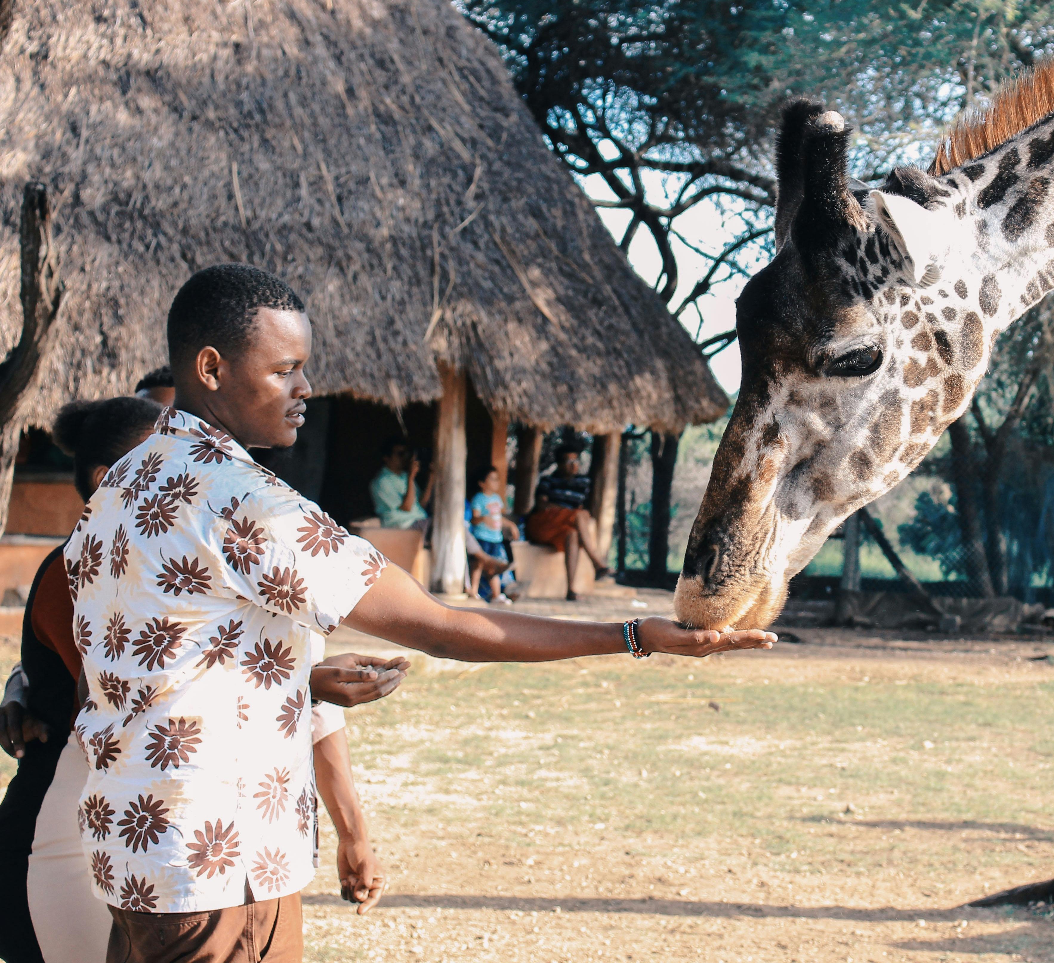 Tours & Travel Expo 2025