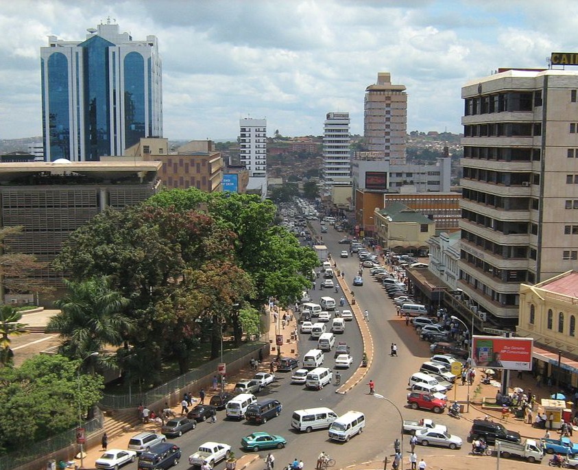Bwindi Gorilla Trekking Experience