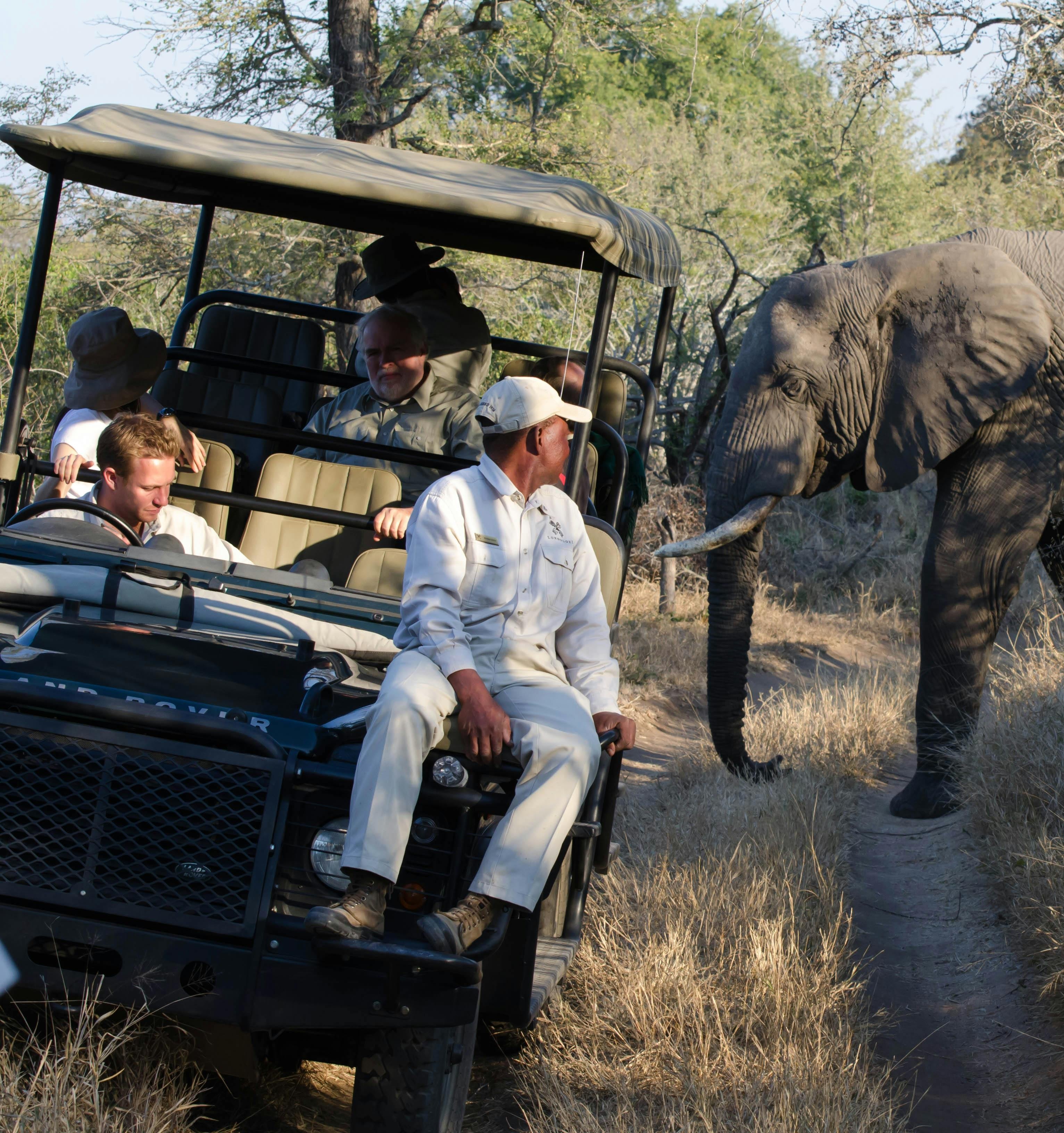 Murchison Falls Short Safari – Uganda