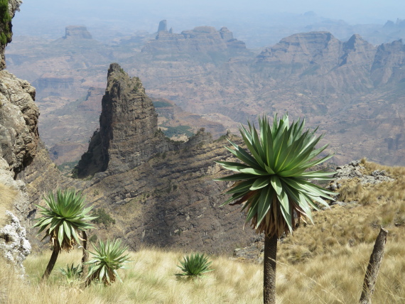 Simien Mountains National Park Adventure