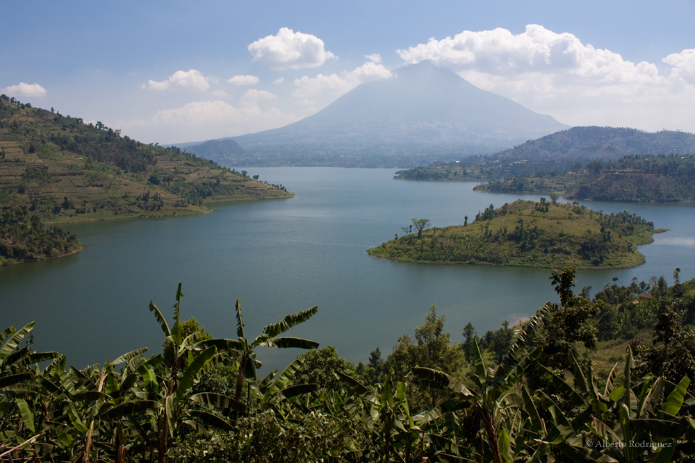 Volcanoes National Park Gorilla Trekking